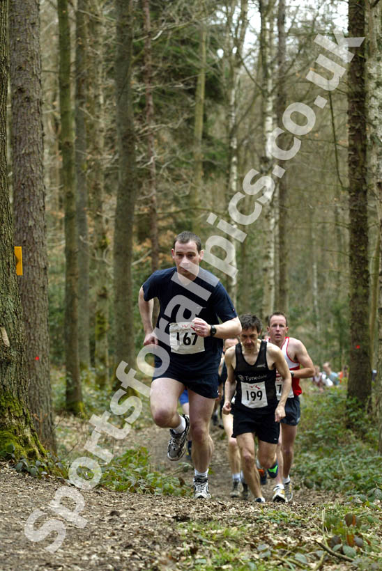 Hamsterley Forest Run